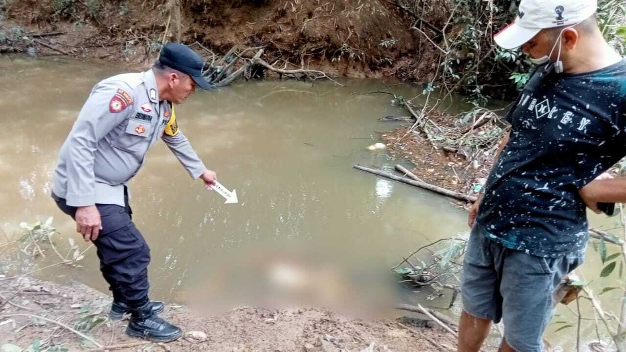 Dua Minggu Menghilang Warga Sindang Marga ditemukan Tinggal Tulang Belulang