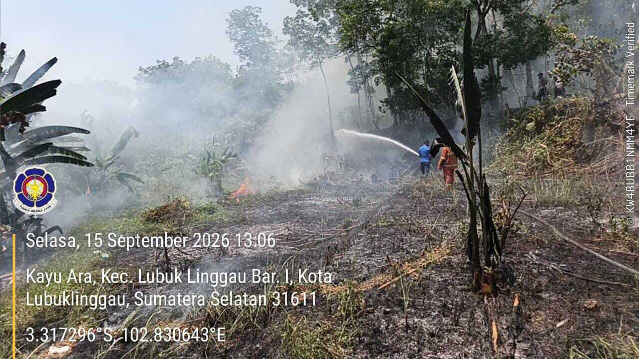 54 Kali Karhutla Terjadi di Lubuklinggau, 22 Hektare Lahan Terbakar