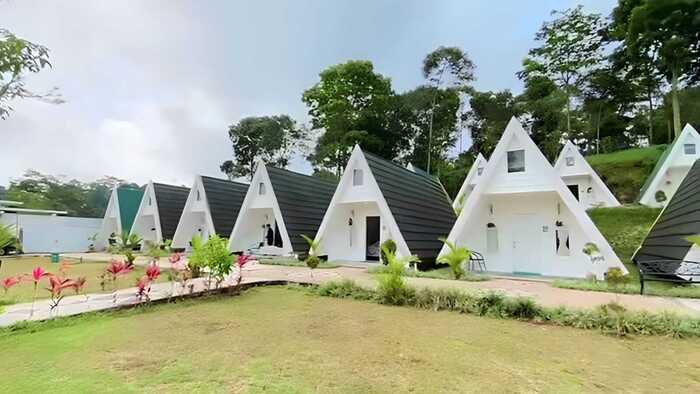 Mengenal Keindahan Glamping di D'Kaliurang Resort Jogja: Camping Mewah di Tengah Alam