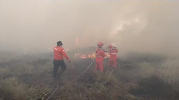 Kebakaran Lahan Terjadi di Ulak Tangisan, Ogan Ilir: Petugas Berjibaku Padamkan Api
