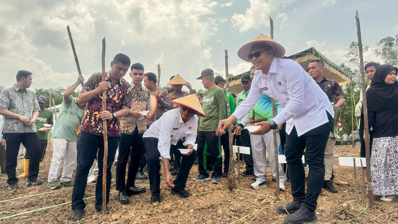 Luncurkan Program Ketahanan Pangan 2025, Walikota Prabumulih Tanam Jagung di Desa Talang Batu