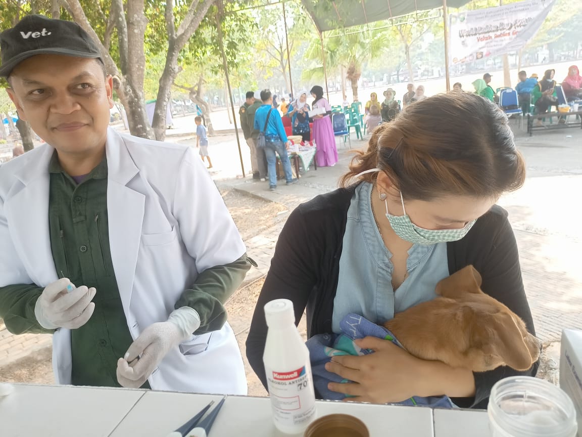 Dinas Peternakan OKU Vaksin 200 Ekor Hewan Rabies