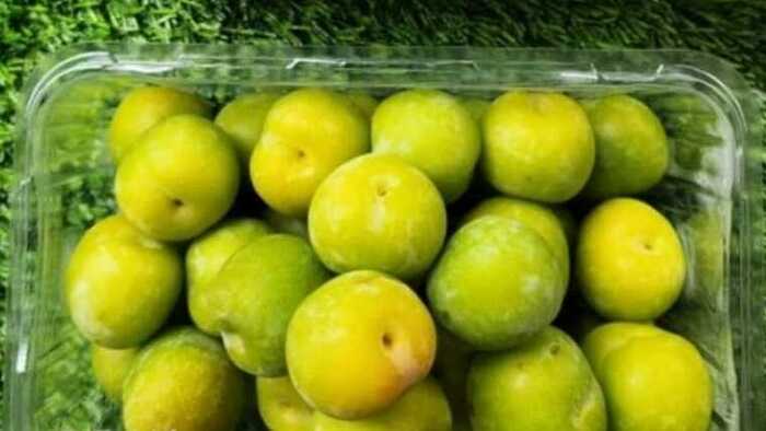 Manfaat Luar Biasa Buah Plum Hijau untuk Kesehatan