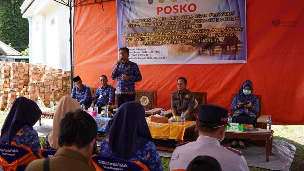 Pastikan Penanganan Wabah Penyakit Kerbau, Pj Bupati OKI Pantau Langsung di Lapangan