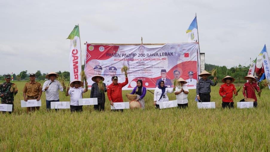 Panen Raya Padi Rawa Lebak, Ini Pesan Ajakan Bupati Banyuasin