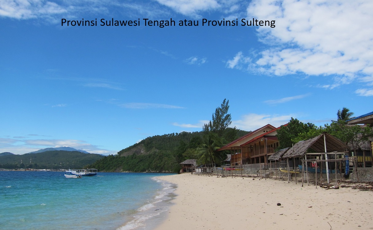 Perencanaan Pemekaran Wilayah Sulawesi Tengah: Meninjau 10 Calon Daerah Baru