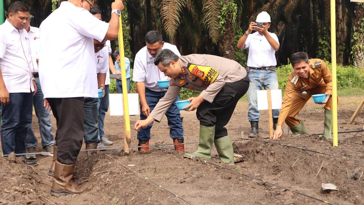 Dukung Ketahanan Pangan Tanam Jagung Seluas 1 Hektar 