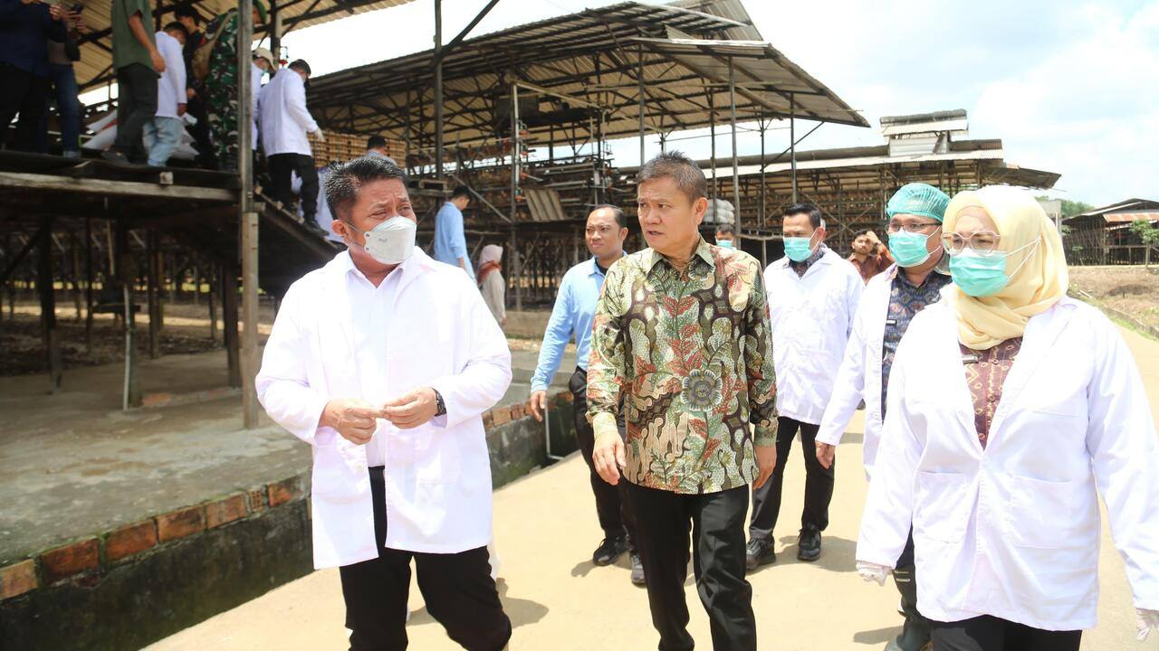 Banyuasin Jadi Role Model Peternakan Modern, Herman Deru Dorong Transformasi Industri Unggas