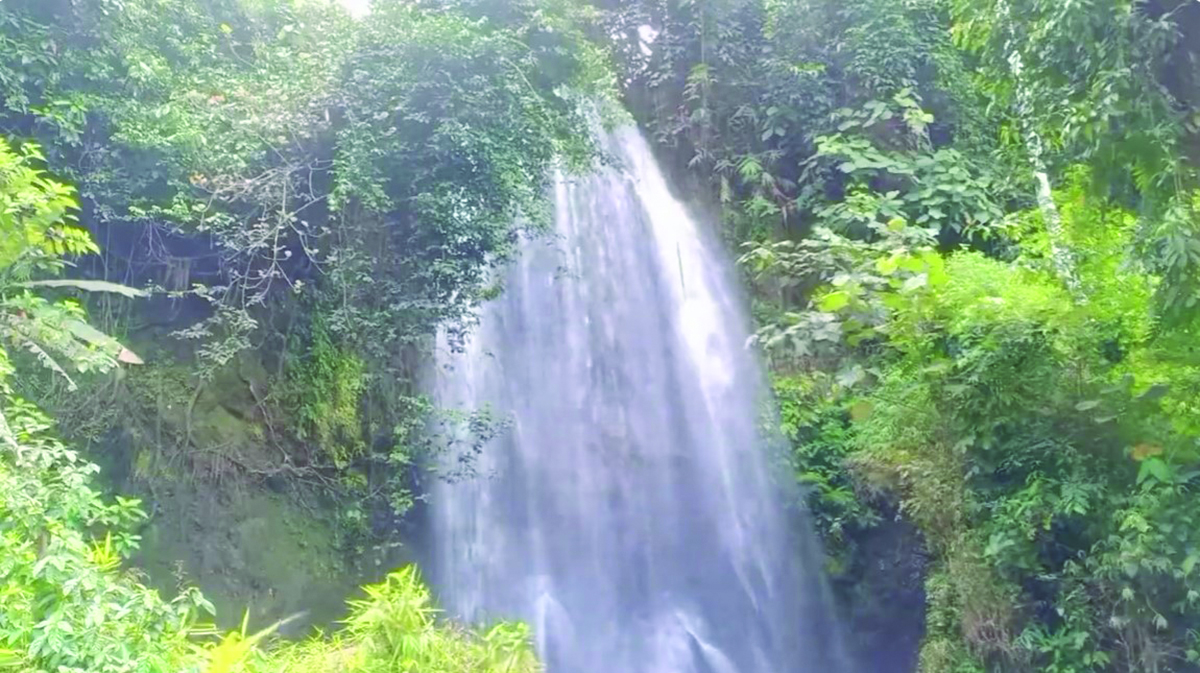 Eksotisme Air Terjun Curup Bali: Permata Tersembunyi di Sumatera Selatan, yang Bikin Sulit Melupakan Mantan! 