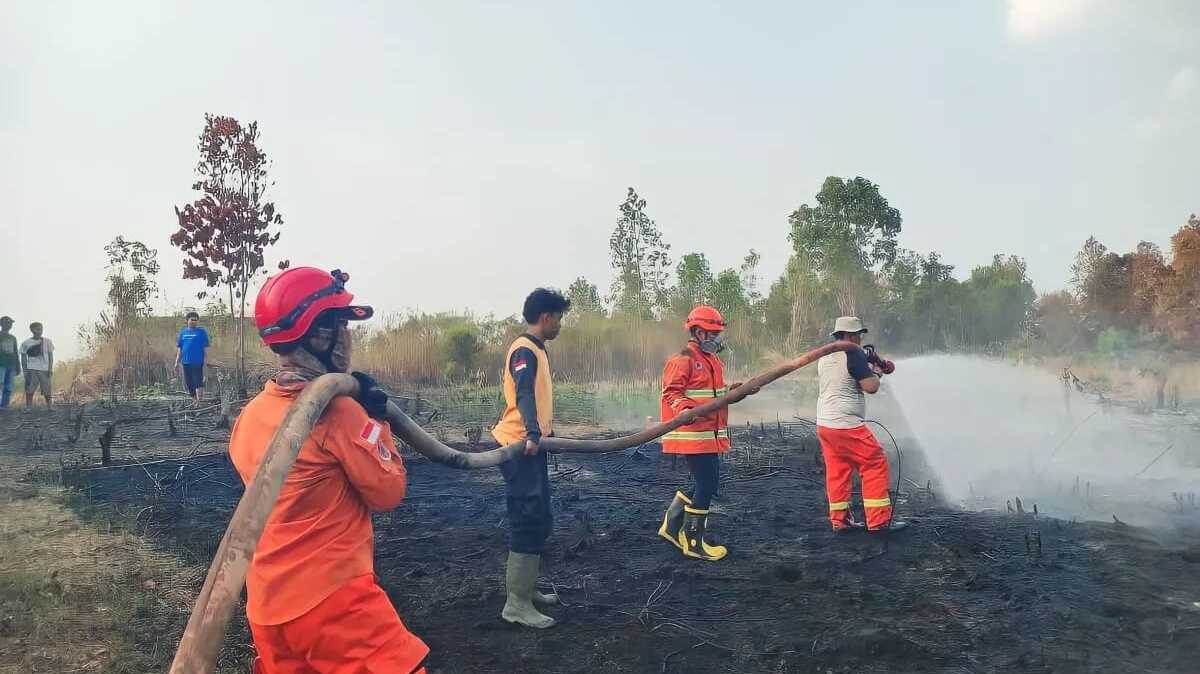 30 Hektare Lahan di OKU Terbakar Akibat Oknum Buang Putung Rokok Sembarangan