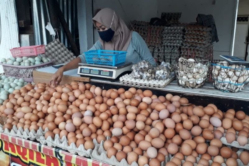 Harga Telur Ayam Ras di Baturaja Tembus Rp32.000 Per Kilogram