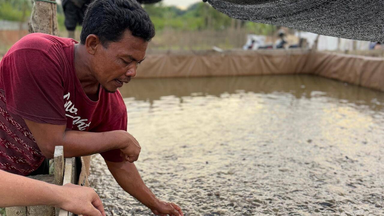 Pertamina Perkuat Adaptasi Iklim melalui Sistem Pangan Terintegrasi di Kelurahan Kasang, Jambi