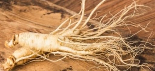 Tanaman Herbal Ini Banyak Manfaatnya, Ini 6 Kegunaan Ginseng: Nomor 1 yang Suka Sakit Kepala Patut Mencoba ! 