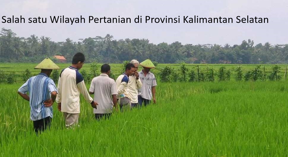 Potret Ekonomi dan Ketenagakerjaan Kalimantan Selatan: Dari Pertanian Hingga Industri