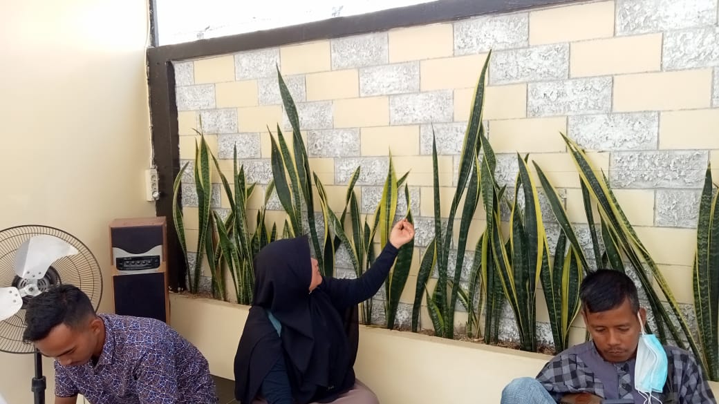 Sansevieria Si 'Lidah Mertua' Penyerap Radiasi