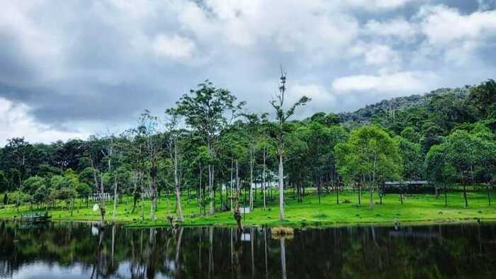Taman Nasional Lore Lindu: Permata Keanekaragaman Hayati Indonesia yang Terus Dilindungi