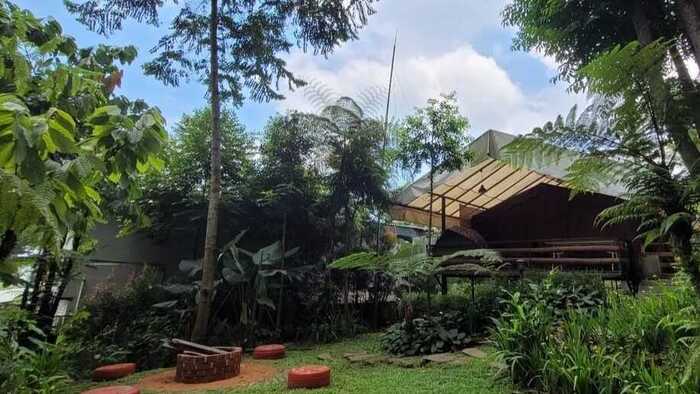 Pondok Rasamala, Surga Tersembunyi di Bogor yang Menawarkan Pesona Alam dan Ketenangan