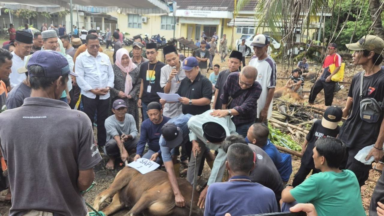 Wako Prabumulih Hadiri Pemotongan Hewan Kurban di RSUD, 15 Ekor Hewan Disembelih untuk Masyarakat