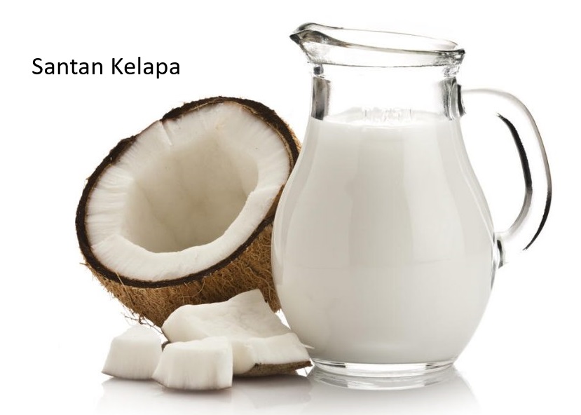 Santan Kelapa Dapat Mencegah Kerusakan Sel