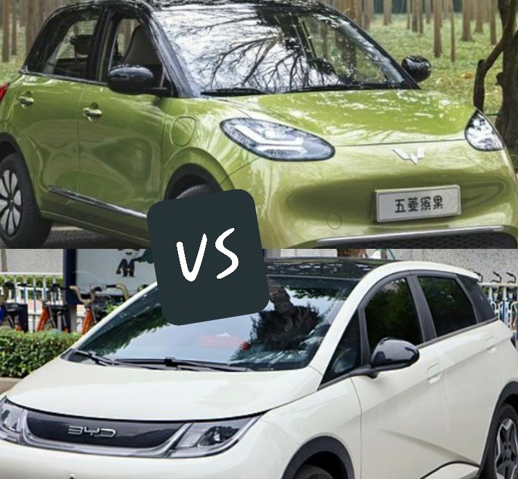 Duel Elektrifikasi: Wuling BinguoEV dan BYD Dolphin, Siapa Rajanya Mobil Listrik?