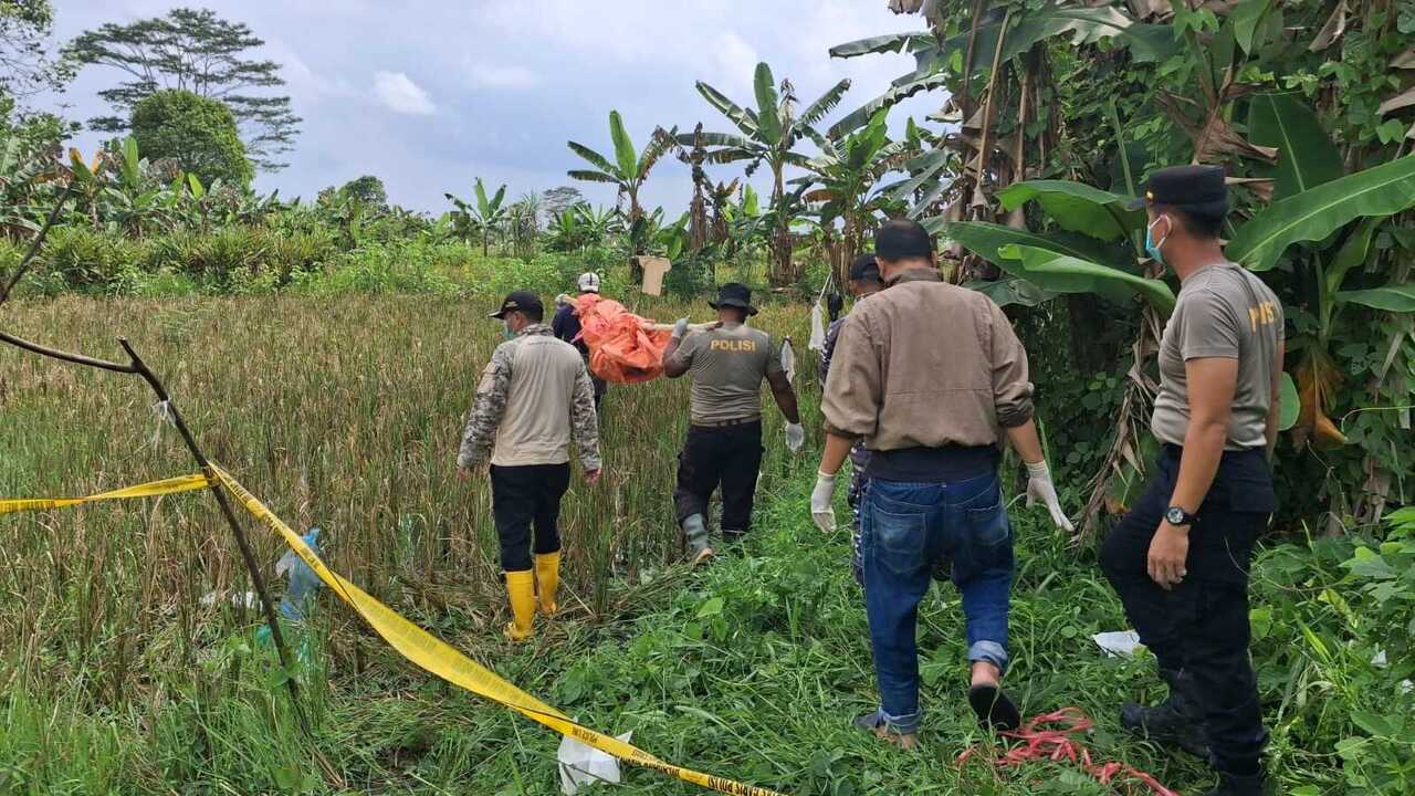 Mayat Perempuan Tanpa Identitas Ditemukan di Pinggir Sawah Desa Merah Mata Banyuasin