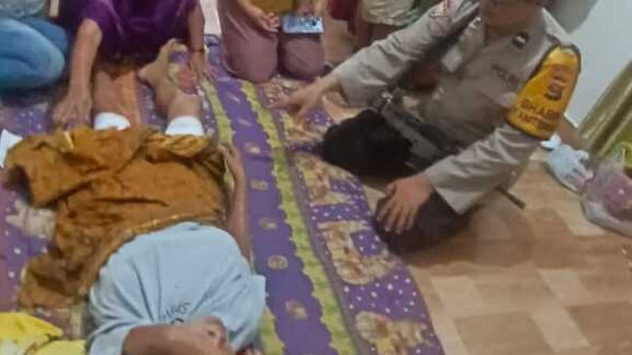 Seorang Warga Kabupaten OKU Diserang Beruang di Kebun Karet