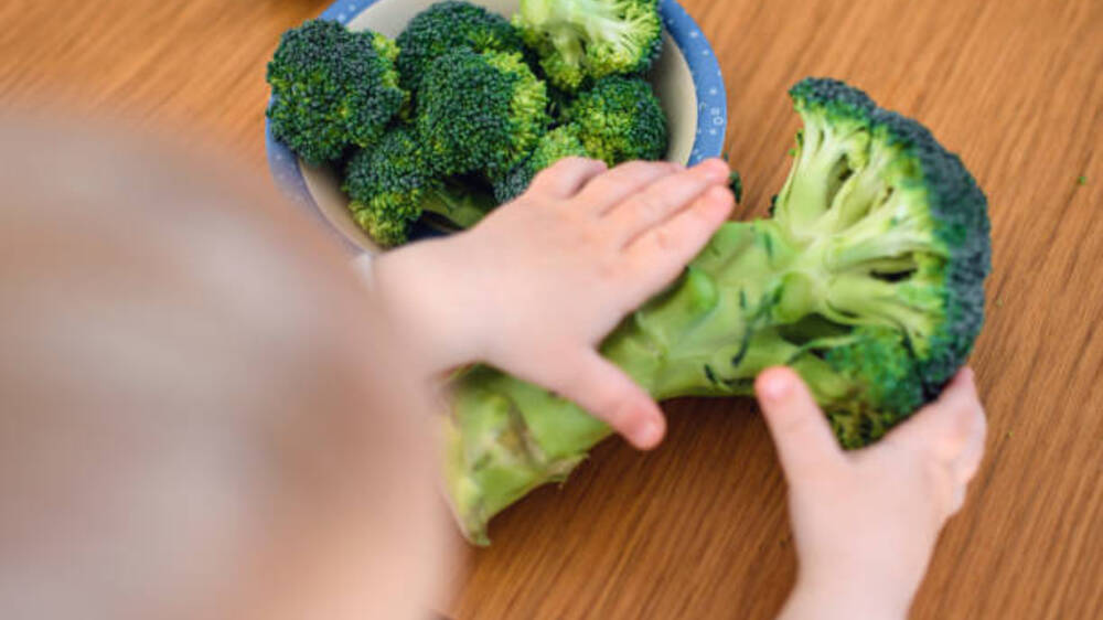 Brokoli: Makanan Rendah Kalori untuk Anak Sehat dan Bebas Obesitas