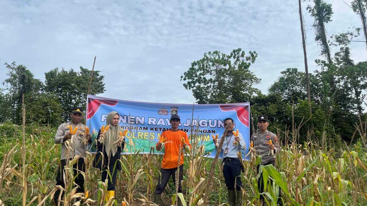 Dukung Swasembada Pangan, Panen Raya Jagung Serentak