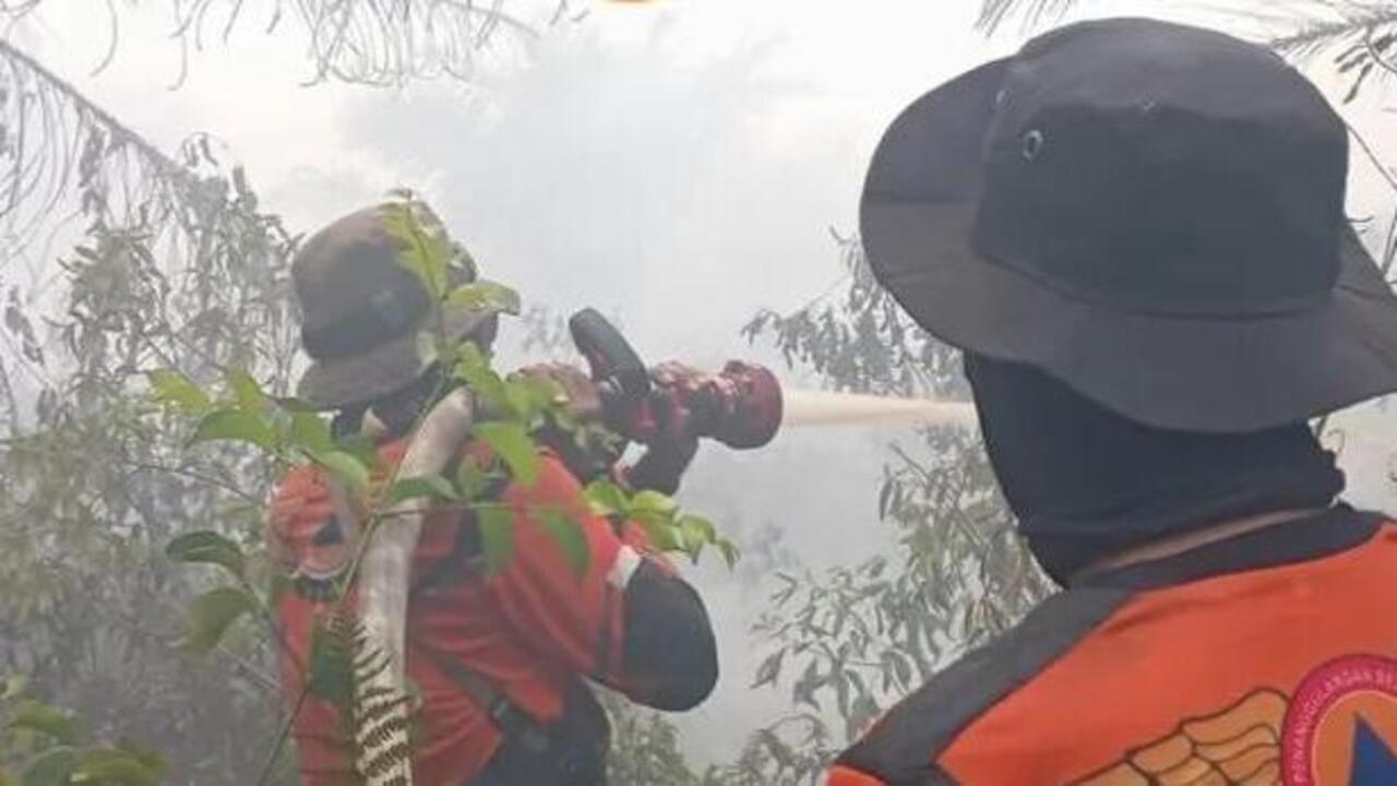 Karhutla Gelumbang Meluas, 30 Hektare Lahan Terbakar