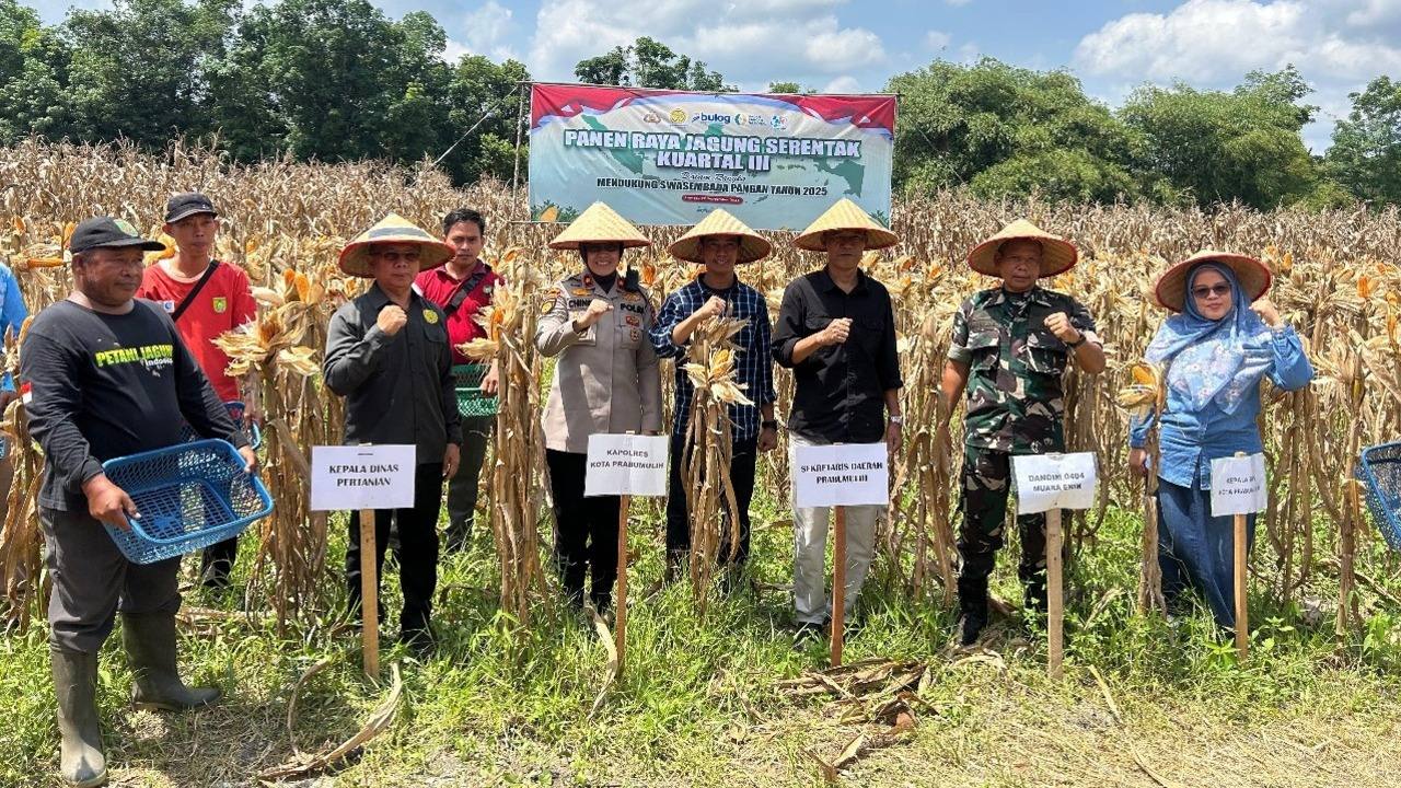 Polri Gelar Panen Raya Jagung Serentak Kuartal III, Polres Prabumulih Hasilkan 8 Ton Jagung dari Lahan 2 Hekta