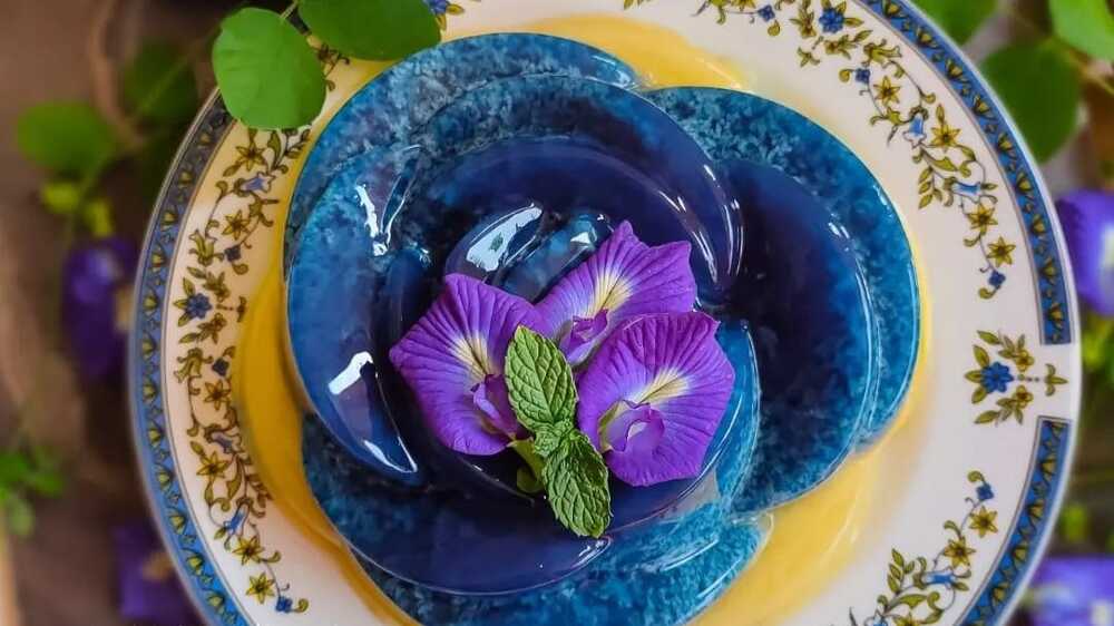 Puding Berwarna Biru Cantik Dari Ekstrak Bunga Telang, Tawarkan Kombinasi Rasa dan Kesehatan yang Unik