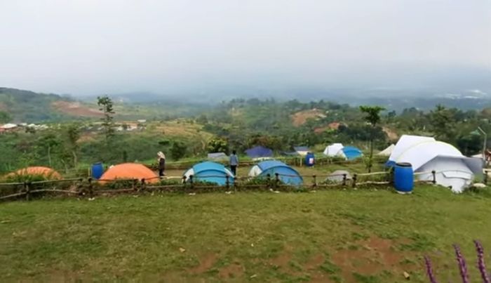 Joglo Java Neglasari Camping Ground Bogor: Menyatu dengan Alam, Menemukan Kesejukan di Pusaran Hijaunya