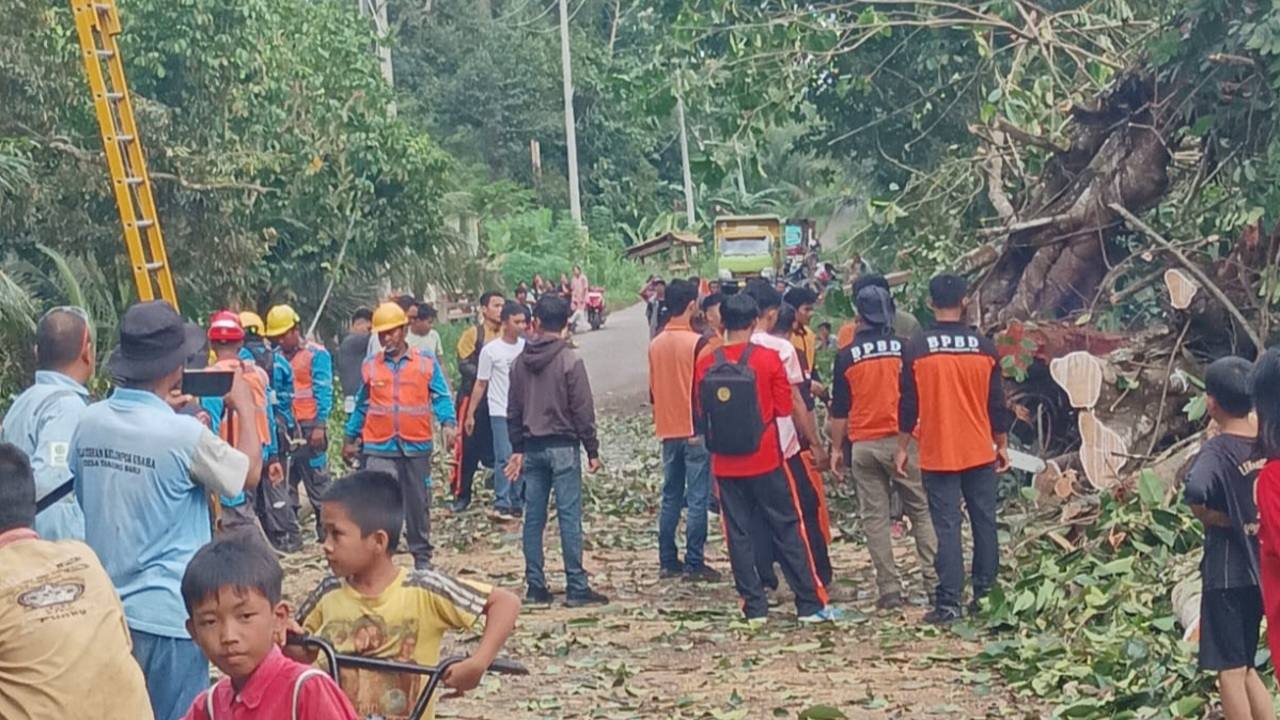 BPBD OKU Bersihkan Pohon Tumbang di Ruas Jalan Desa Tanjung Baru