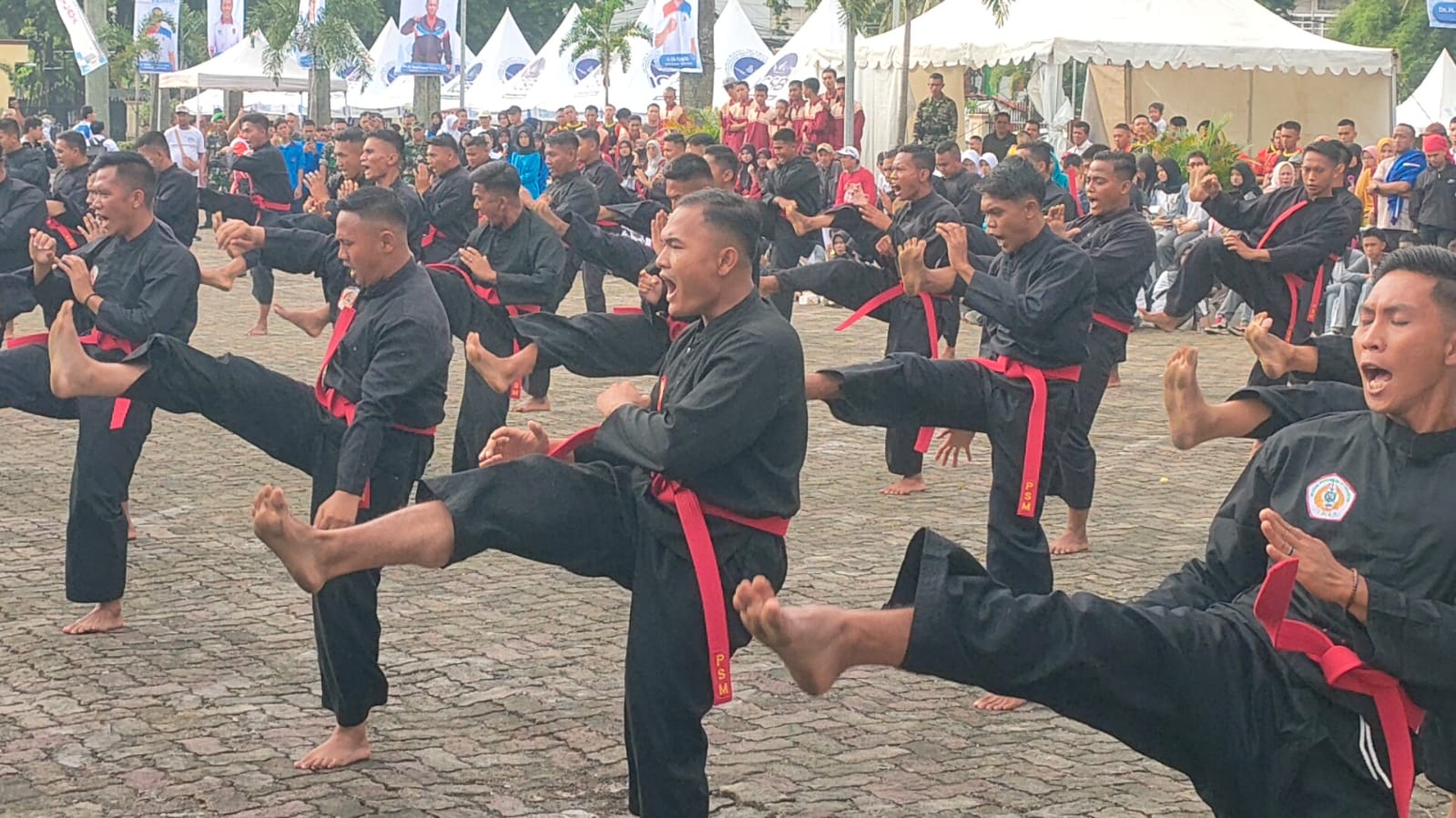 Haornas 2025 Jadi Momentum Lahirnya Program Sriwijaya Gold di Sumsel