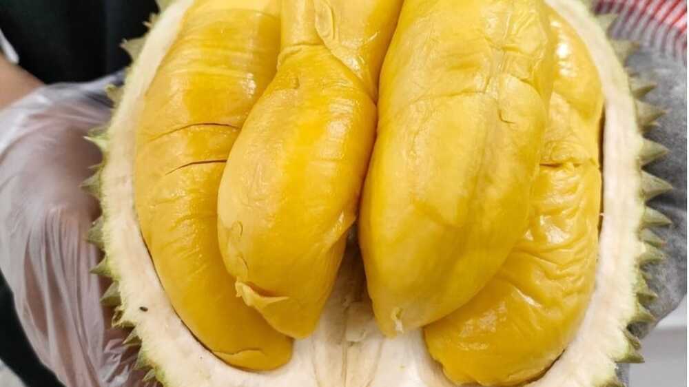 Apa Kandungan Nutrisi di dalam Durian? Penemuan Terbaru Ungkap Keunikan Buah Kebanggaan Malaysia