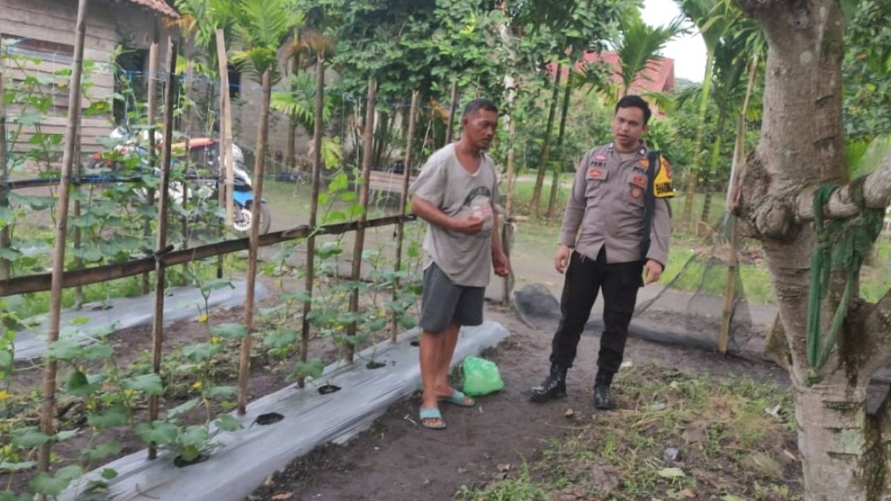 Dorong Ketahanan Pangan Lewat Budidaya Melon