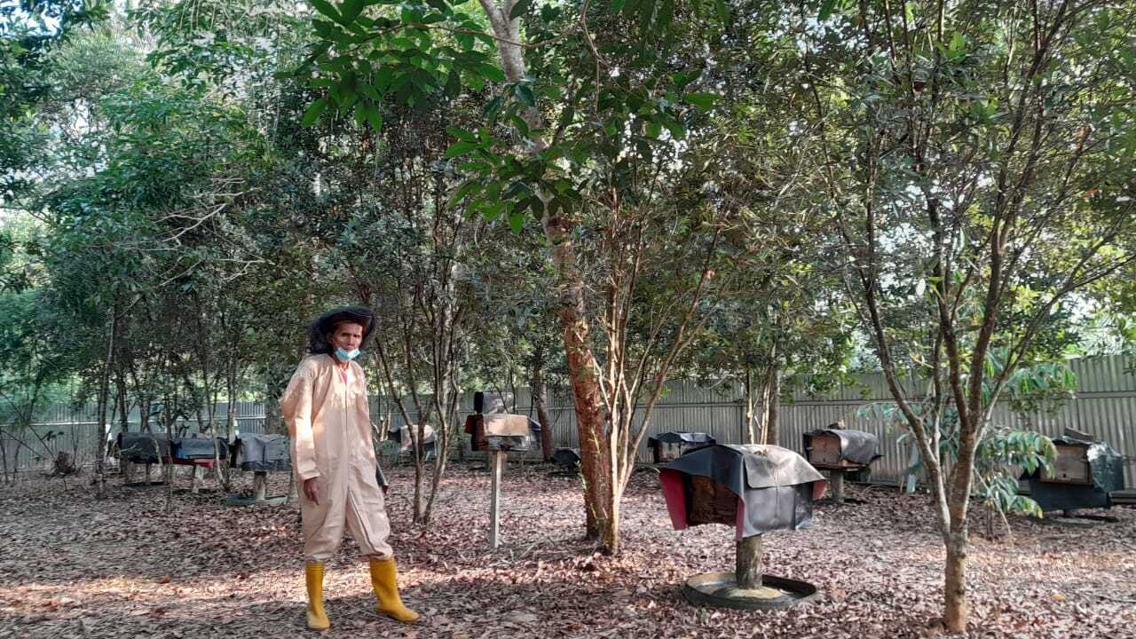 Dari Sakotak Lebah dan Setetes Madu, Asa Itu Kembali Tumbuh 