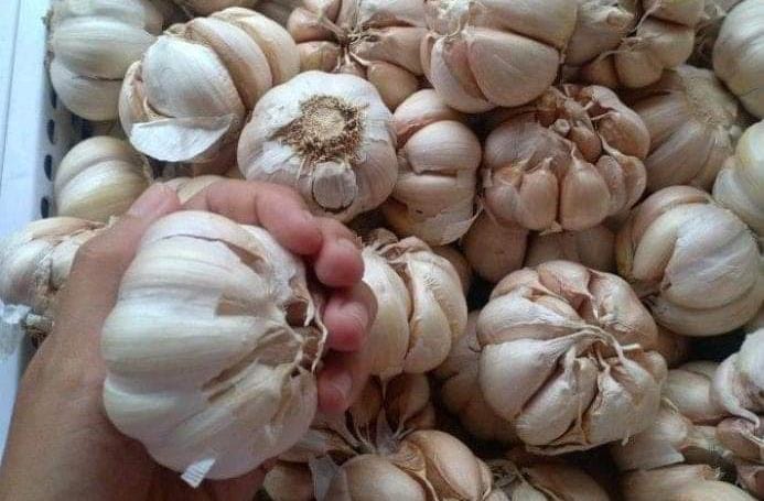 Emang Bisa Kulit Bawang Putih Menghilangkan Jerawat? Begini Caranya