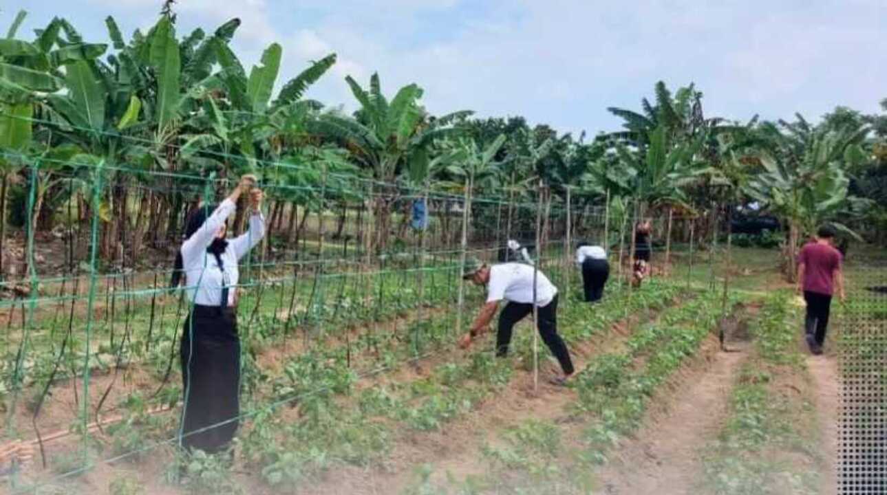 Lapas Kayuagung Dukung Ketahanan Pangan Melalui Optimalisasi AAE