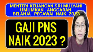 Asyik! Gaji PNS Dipastikan Naik 16 Agustus 2023, Ini Update Terbaru Tunjangan dan Gaji PNS Golongan 1-IV...