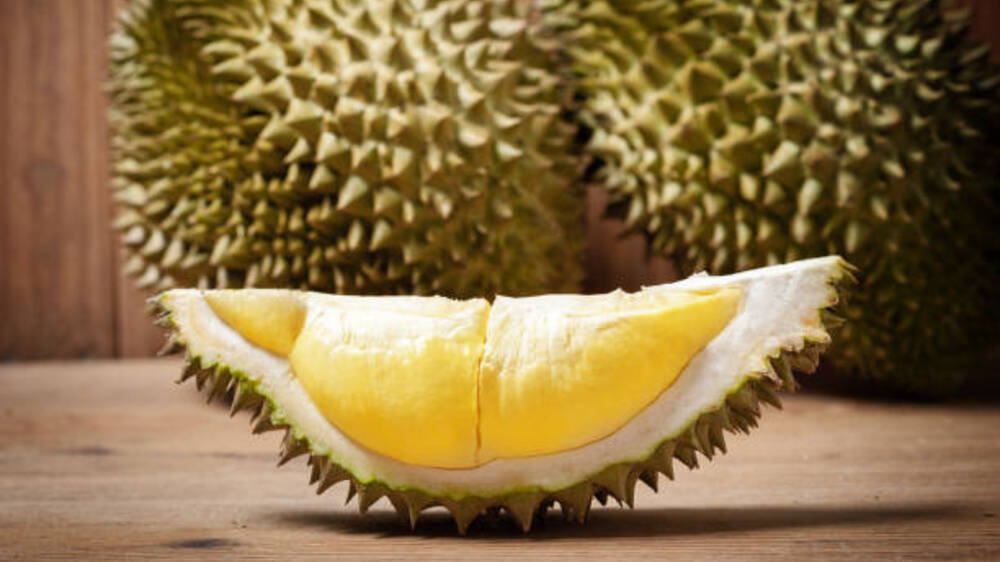 Melihat Keberagaman Jenis Durian di Nusantara: Kaya Rasa dan Aroma