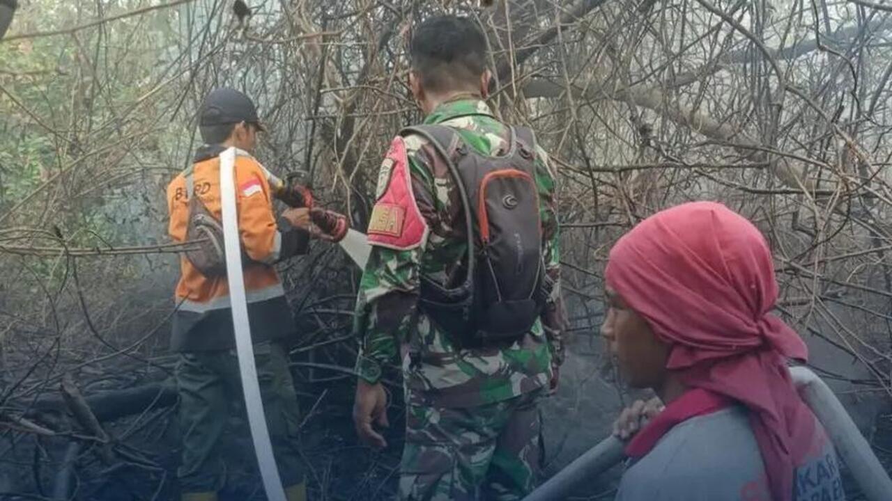 Satu Hektare Lahan Mineral di Patra Tani Terbakar