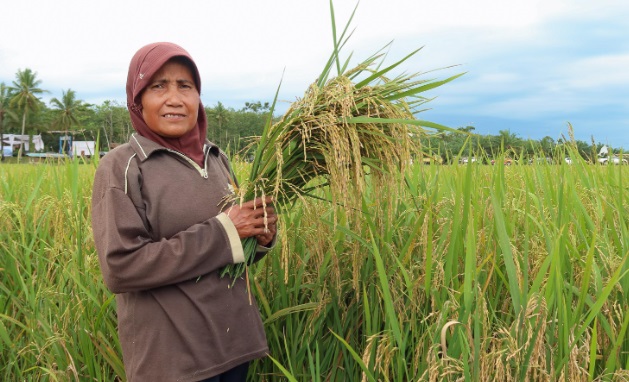 Inovasi Pertanian Berbasis Listrik: Electrifying Agriculture Hadir Dukung Program Ketahanam Pangan Nasional