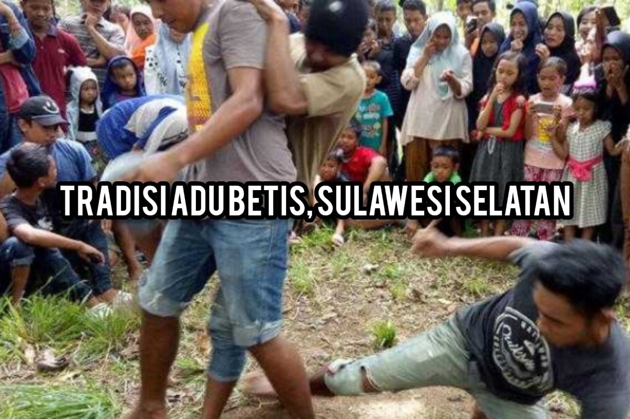 Tradisi Adu Betis Sulawesi Selatan, Ungkapan Syukur Masyarakat Bugis, Makassar, dan Toraja