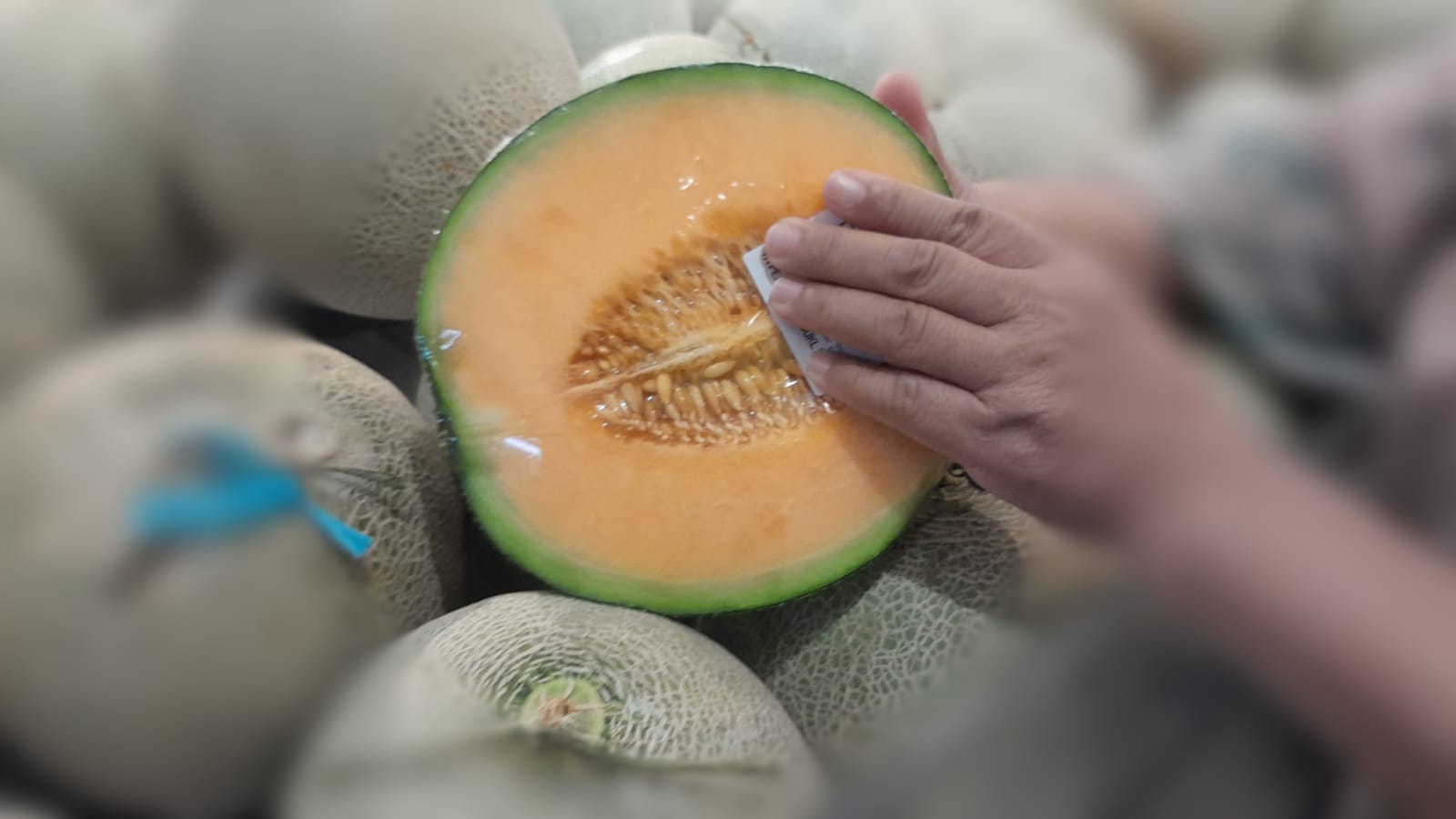 Konsumsi Melon Orange Saat Hamil, Bisa Cegah Hal Ini!