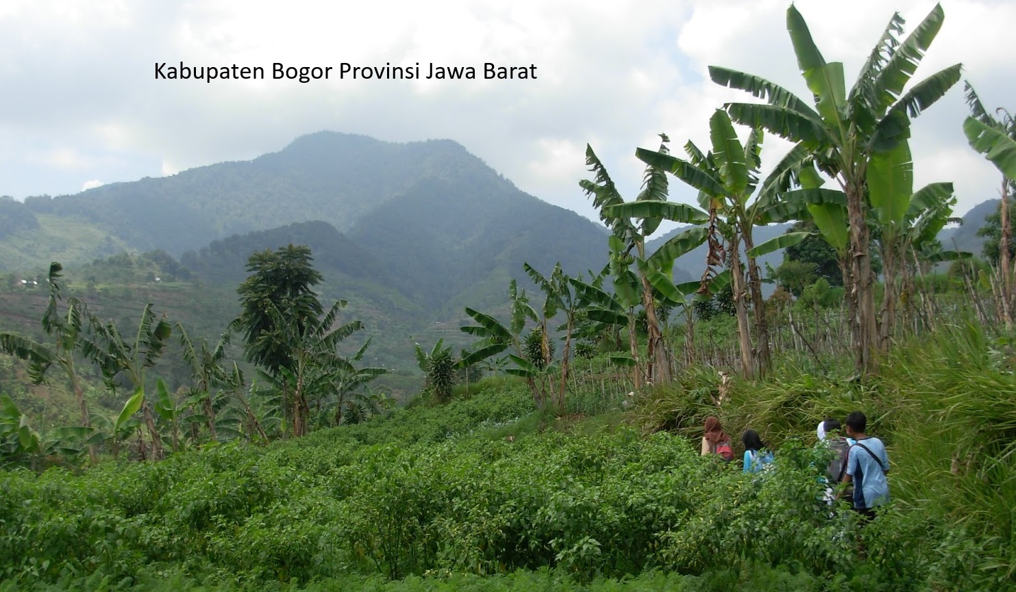 Rencana Pemekaran Kabupaten Bogor: Membentuk Tiga Daerah Otonomi Baru