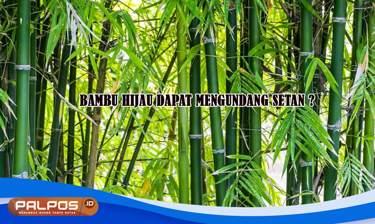 Benarkah Tanaman Bambu Hijau Dapat Mengundang Setan ? Begini Asal Usulnya Biar Gak Gagal Paham !