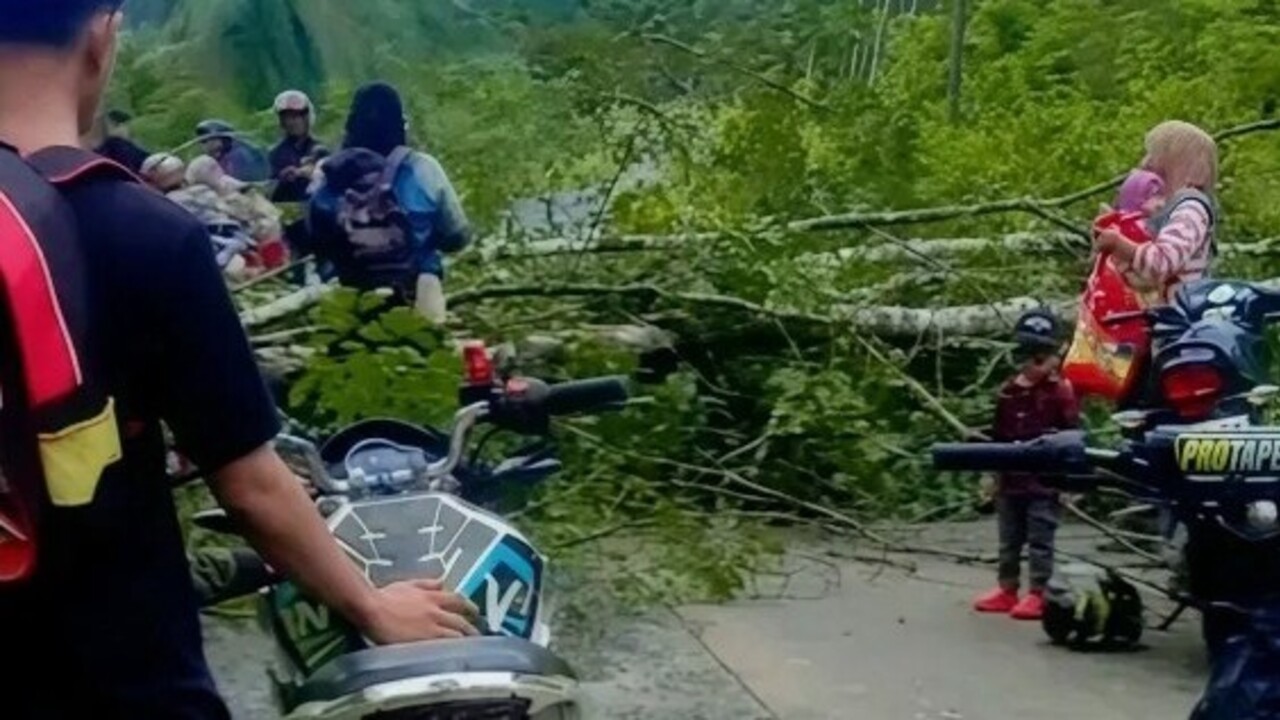 Hendak Mengajar, Guru SD di OKU Tertimpa Pohon Roboh