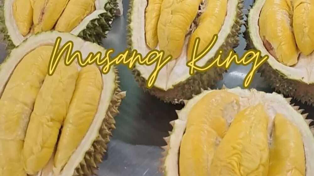 Menelusuri Perbedaan Harga Durian Musang King dan Durian Montong: Adakah Varian Harga yang Terpisah?