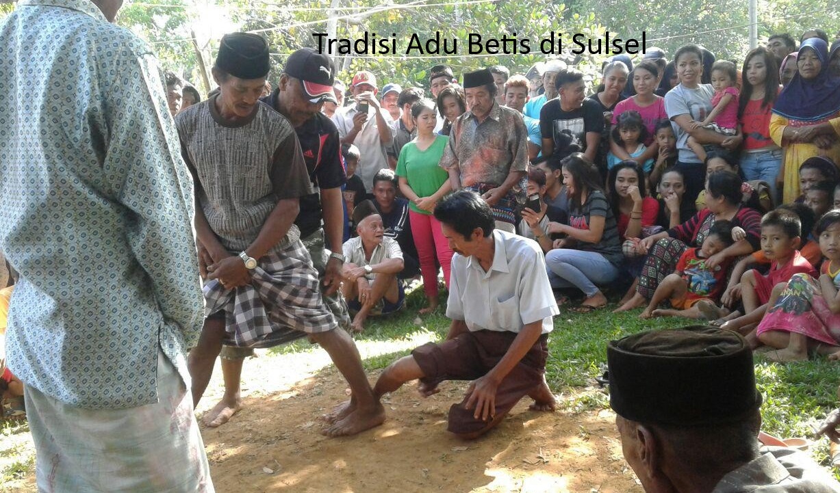 Adu Betis Sulawesi Selatan: Tradisi Unik Penuh Semangat Mengakhiri Musim Panen